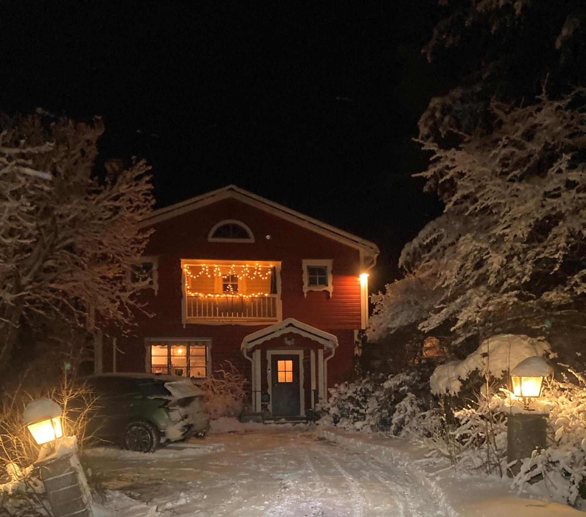 Charmig Villa Med Bastu Och Snabbt Wifi Langav Ngoại thất bức ảnh